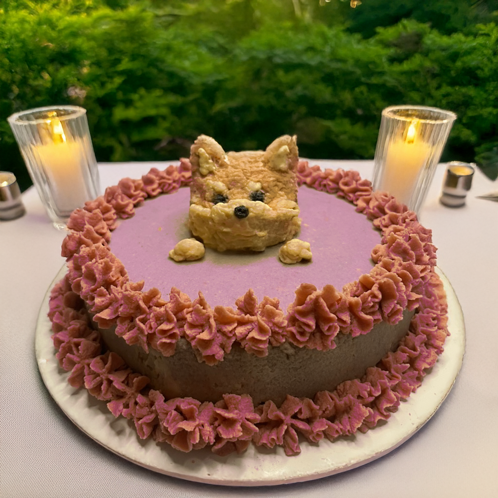 Pet Cake (only Edmonton)