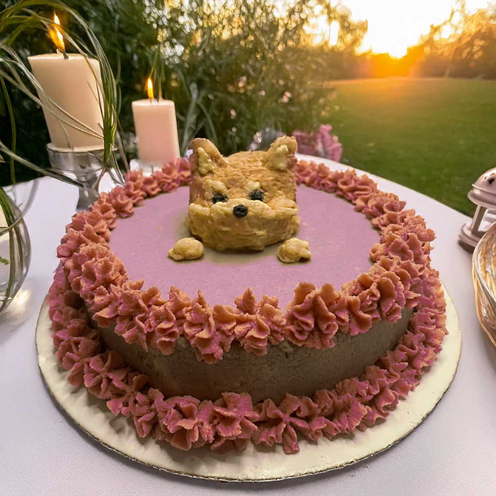 Pet Cake (only Edmonton)