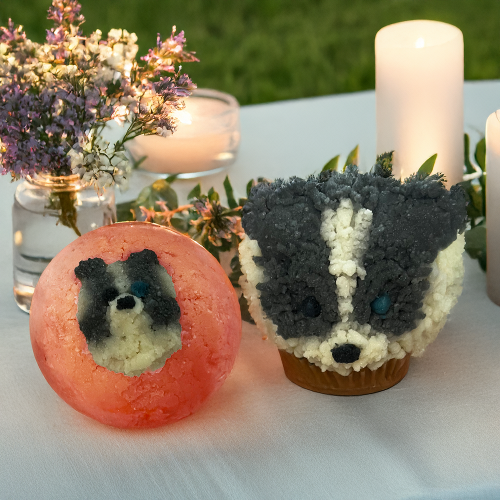 Pet Cake (only Edmonton)