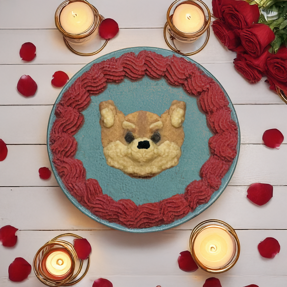 Pet Cake (only Edmonton)