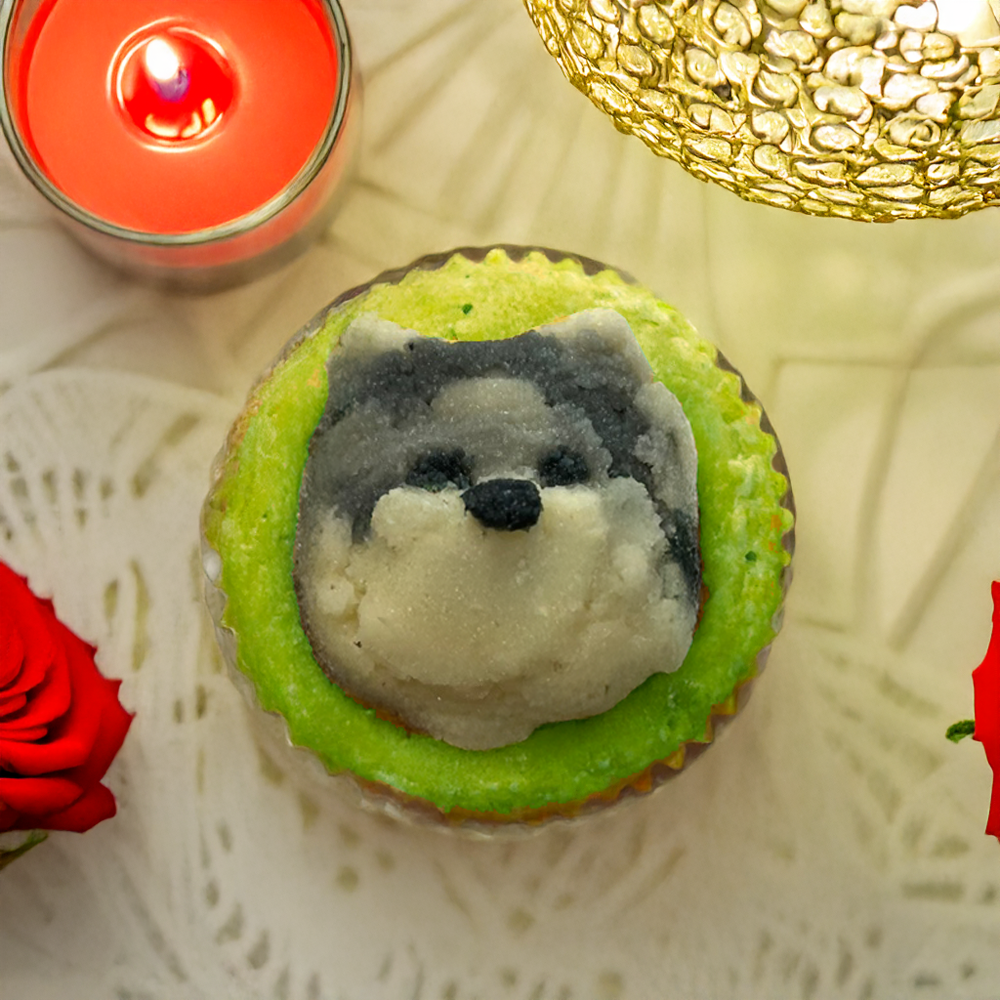 Pet Cake (only Edmonton)