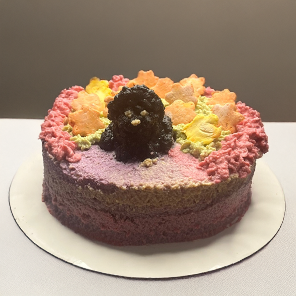Pet Cake (only Edmonton)