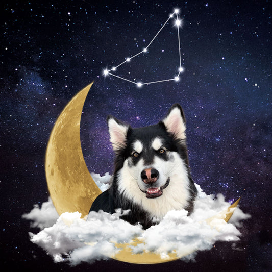 Custom Pet Wallpaper | Crescent Moon