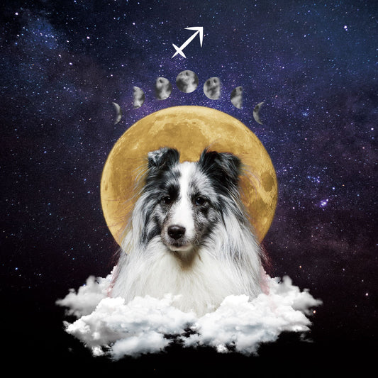 Custom Pet Wallpaper | Full Moon