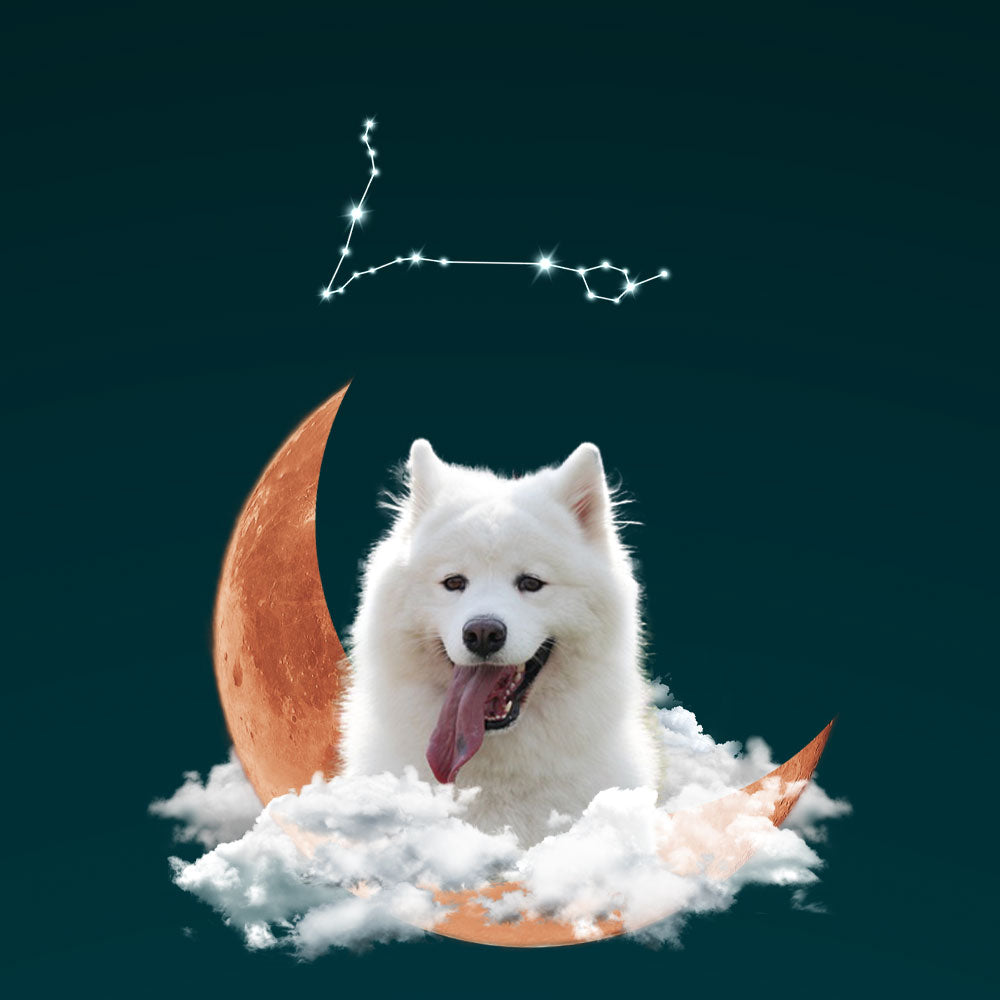 Custom Pet Wallpaper | Crescent Moon