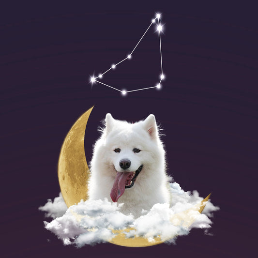 뿌니야 초승달 별자리 컬렉션