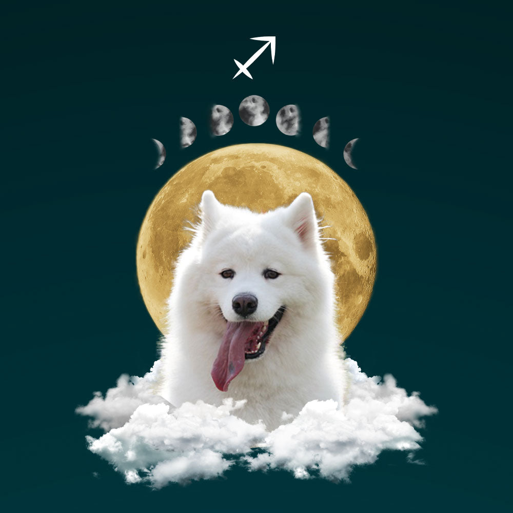 Full Moon