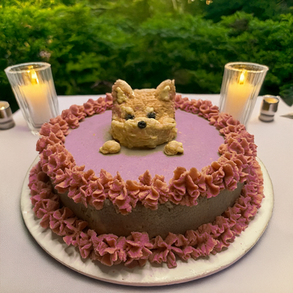 Pet Cake (only Edmonton)