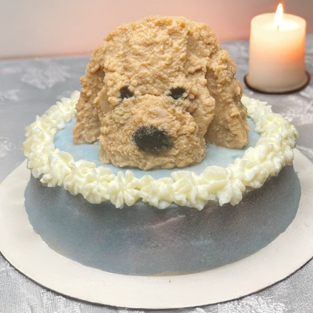 Pet Cake (only Edmonton)