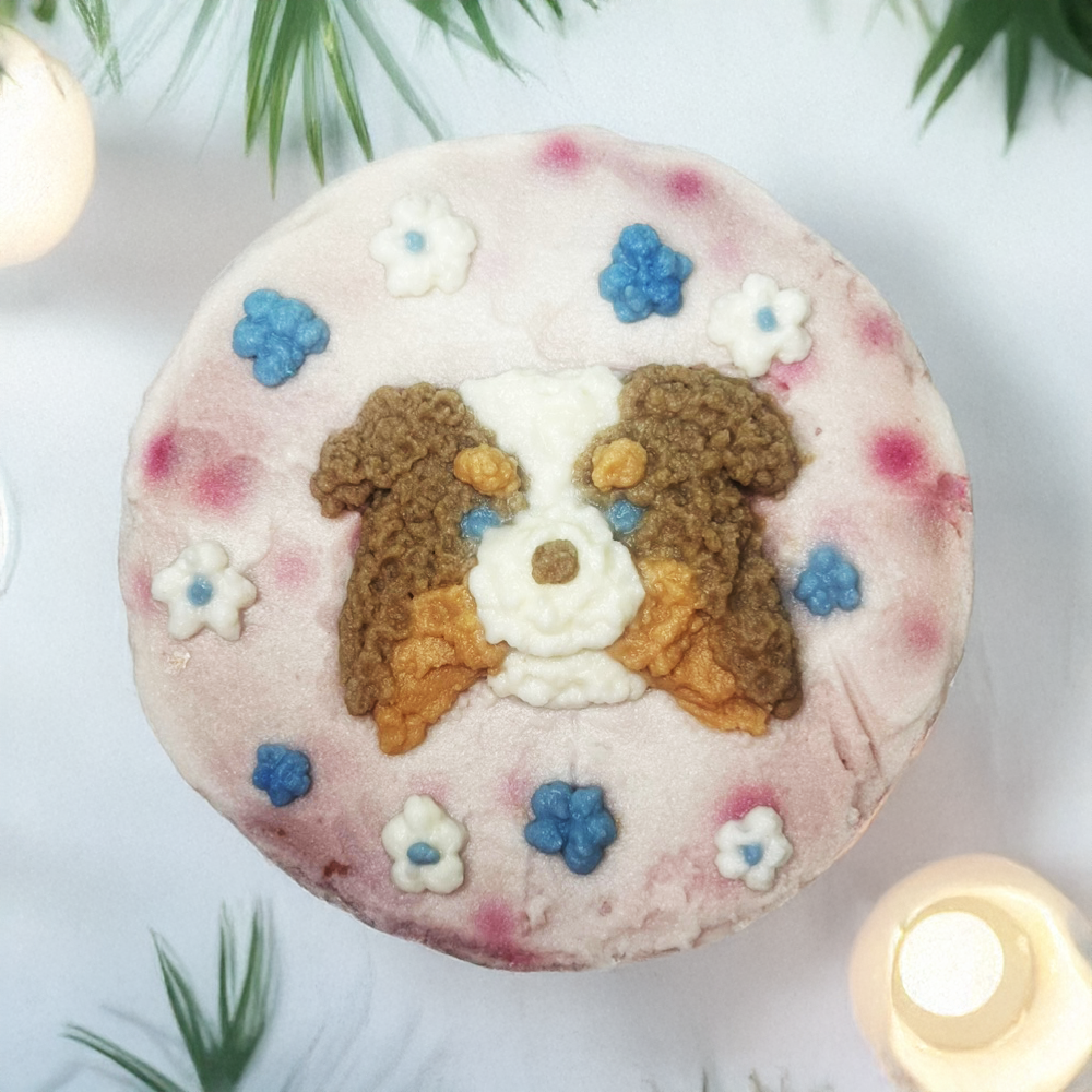Pet Cake (only Edmonton)