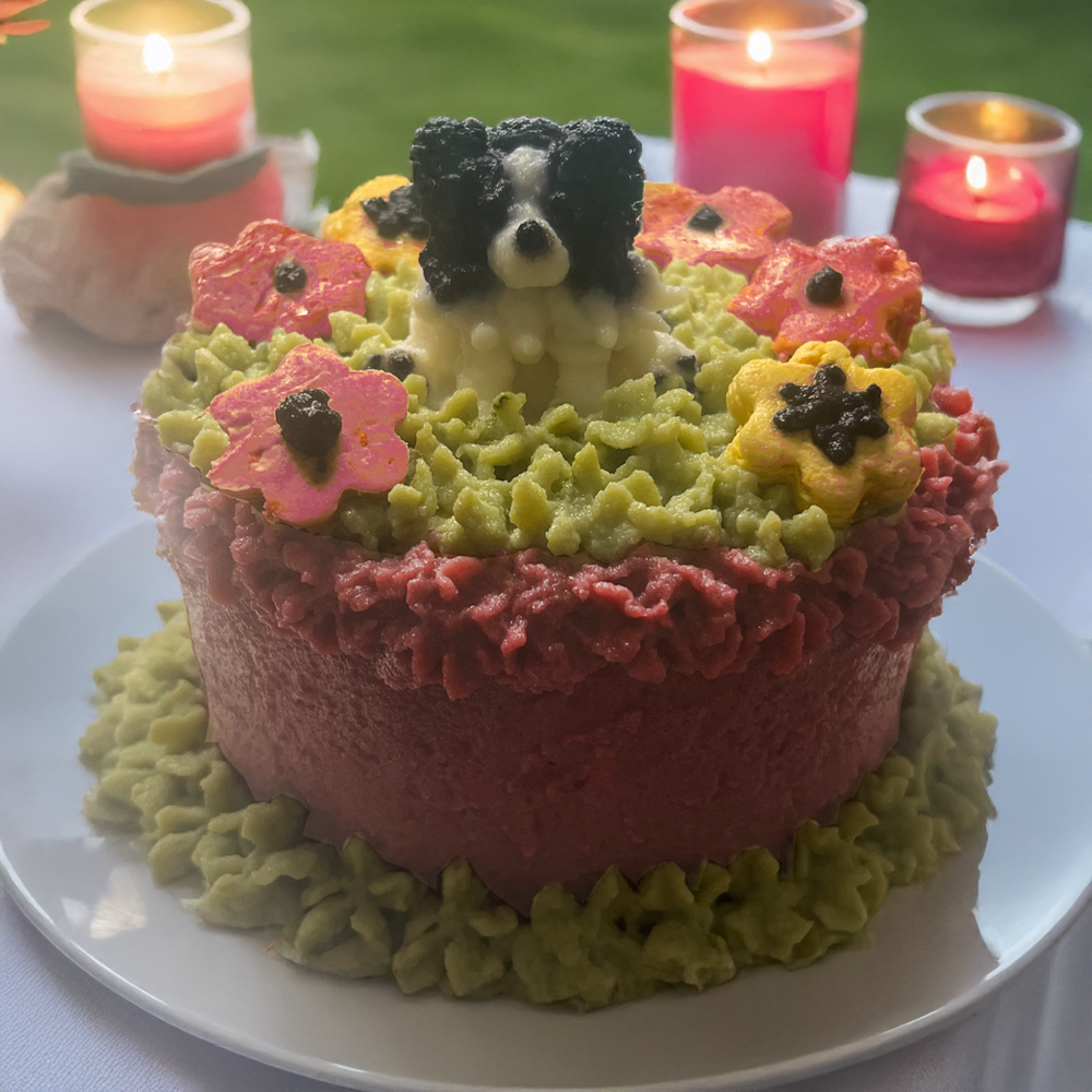 Pet Cake (only Edmonton)