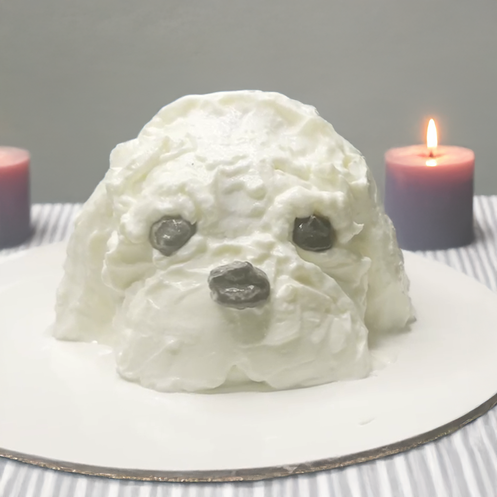 Pet Cake (only Edmonton)