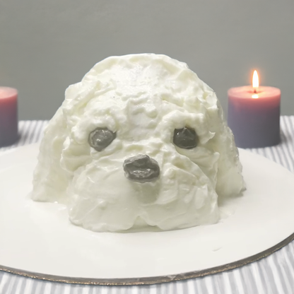Pet Cake (only Edmonton)