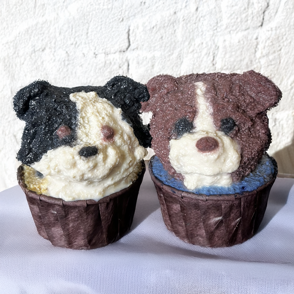 Pet Cake (only Edmonton)
