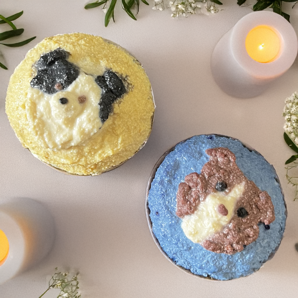 Pet Cake (only Edmonton)