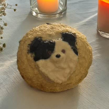 Pet Cake (only Edmonton)