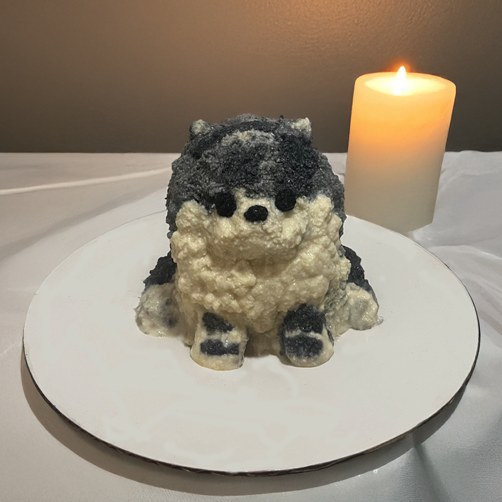 Pet Cake (only Edmonton)