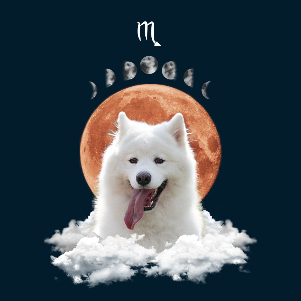 Custom Pet Wallpaper | Full Moon