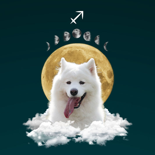 Custom Pet Wallpaper | Full Moon