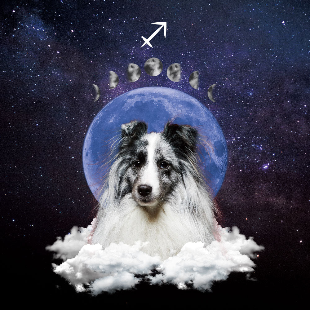 Custom Pet Wallpaper | Full Moon