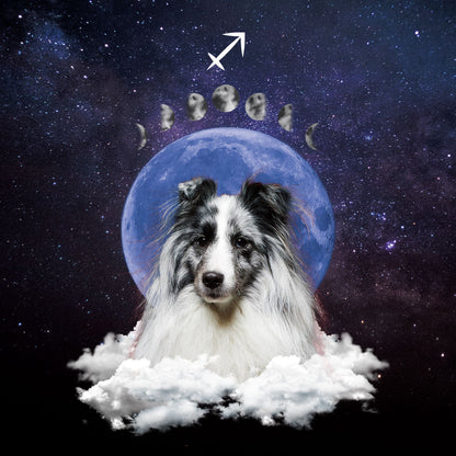 Custom Pet Wallpaper | Full Moon