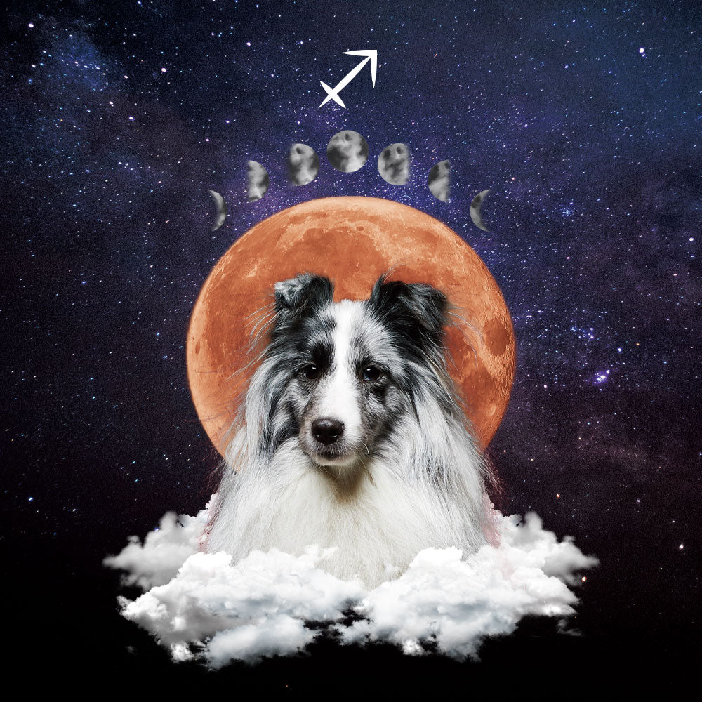 Custom Pet Wallpaper | Full Moon