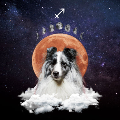Custom Pet Wallpaper | Full Moon