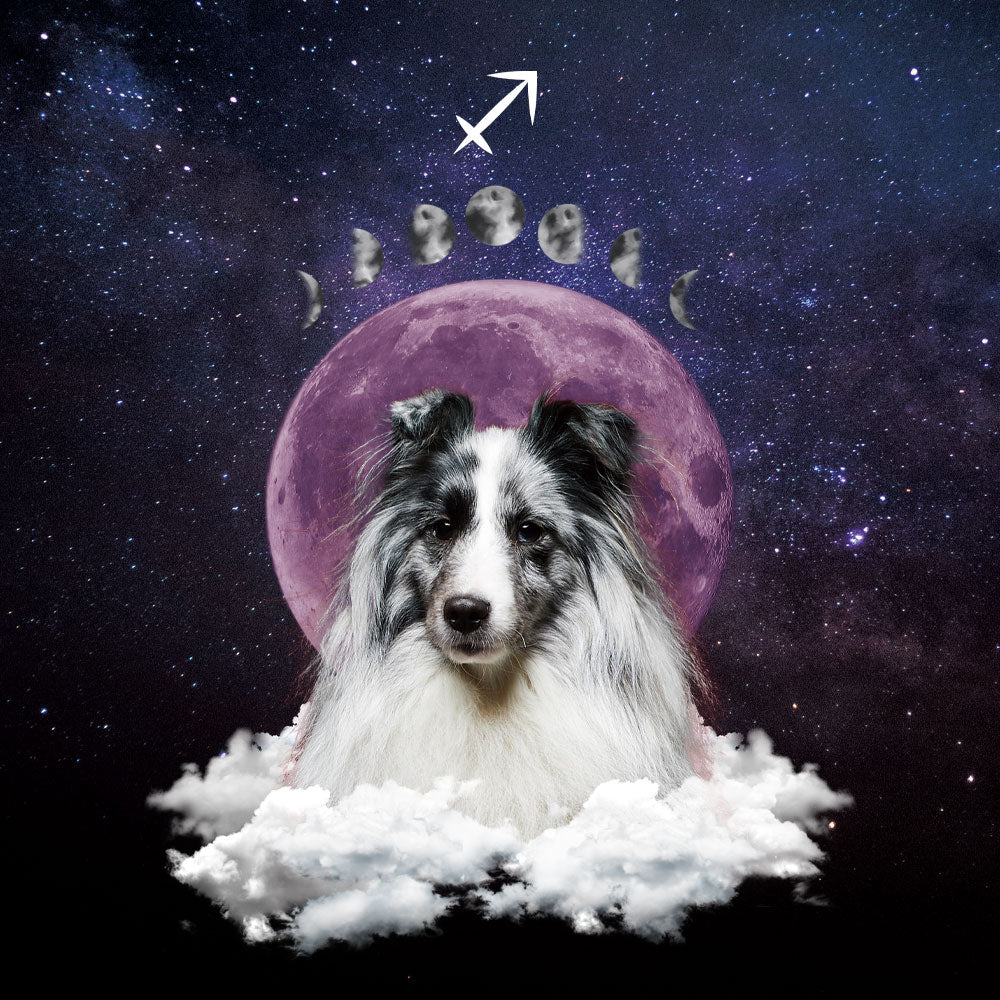Custom Pet Wallpaper | Full Moon