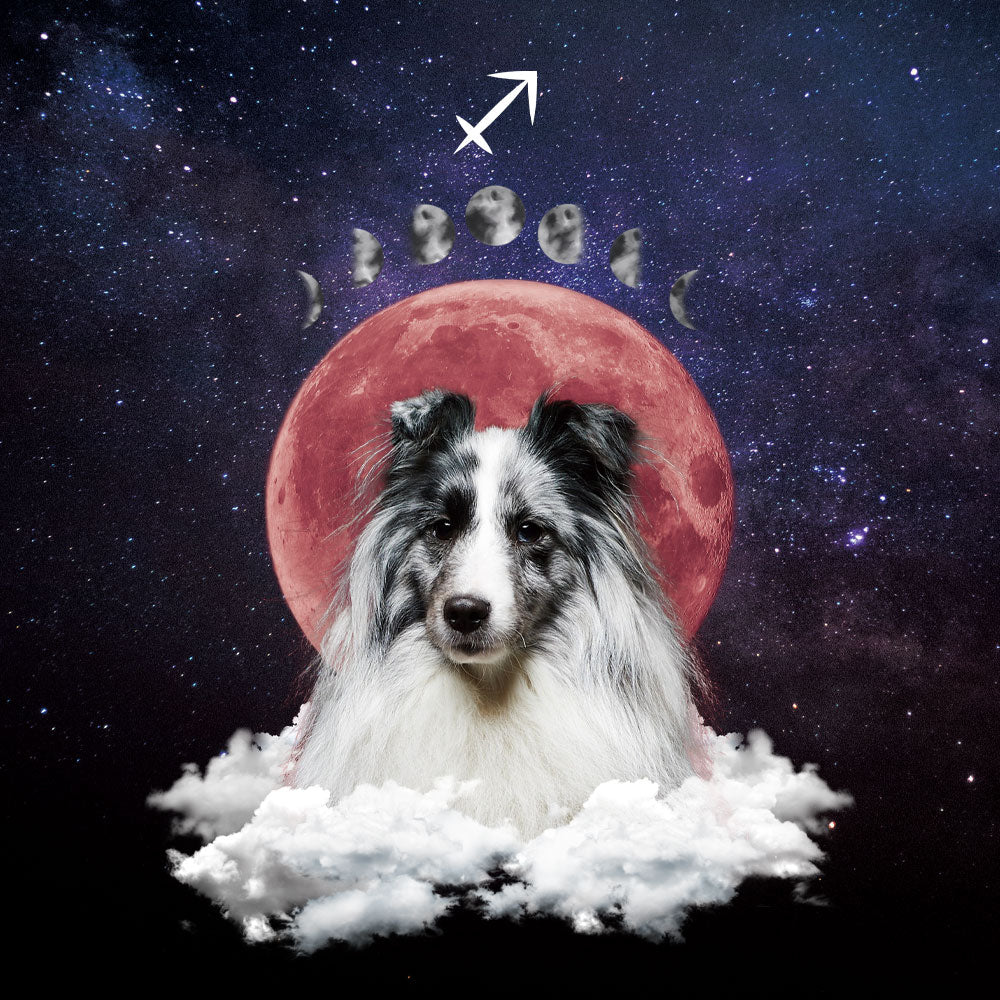 Custom Pet Wallpaper | Full Moon